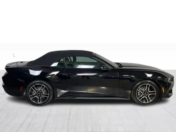 2025 Ford Mustang - image 2