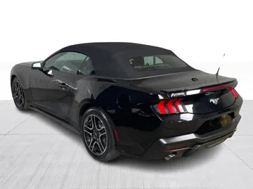 2025 Ford Mustang - image 11