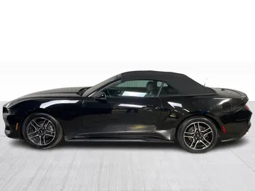 2025 Ford Mustang - image 10