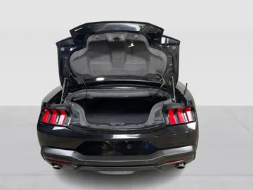 2025 Ford Mustang - image 13