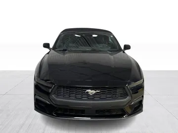 2025 Ford Mustang - image 8