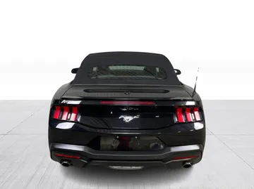 2025 Ford Mustang - image 12