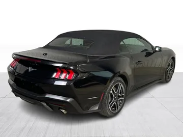 2025 Ford Mustang - image 14