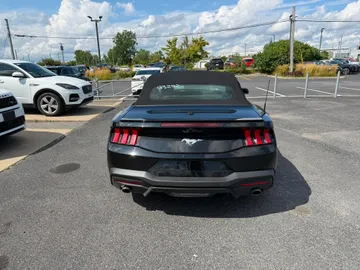 2025 Ford Mustang - image 6