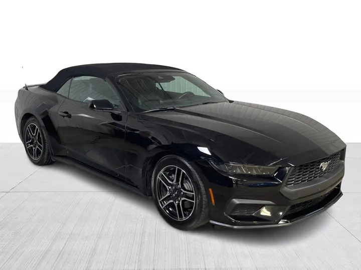 2025 Ford Mustang - main image