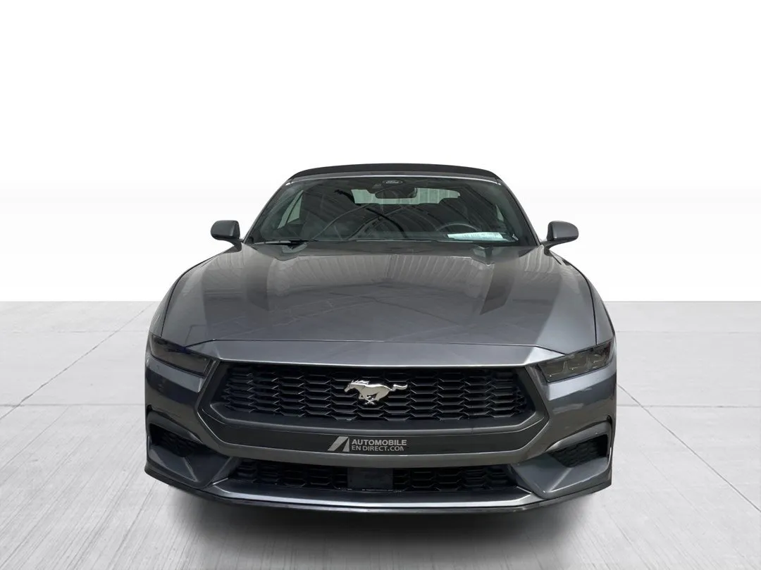 Ford Mustang 2025 à vendre - photo 2