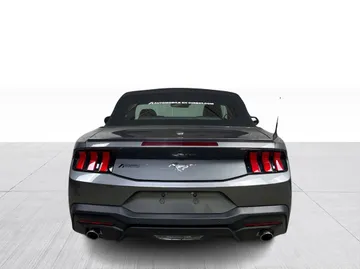 2025 Ford Mustang - image 7
