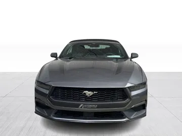 2025 Ford Mustang - image 2