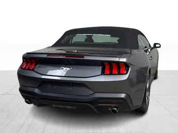 2025 Ford Mustang - image 8
