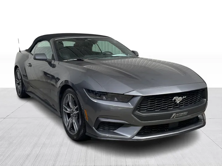 Ford Mustang 2025 à vendre - photo 1