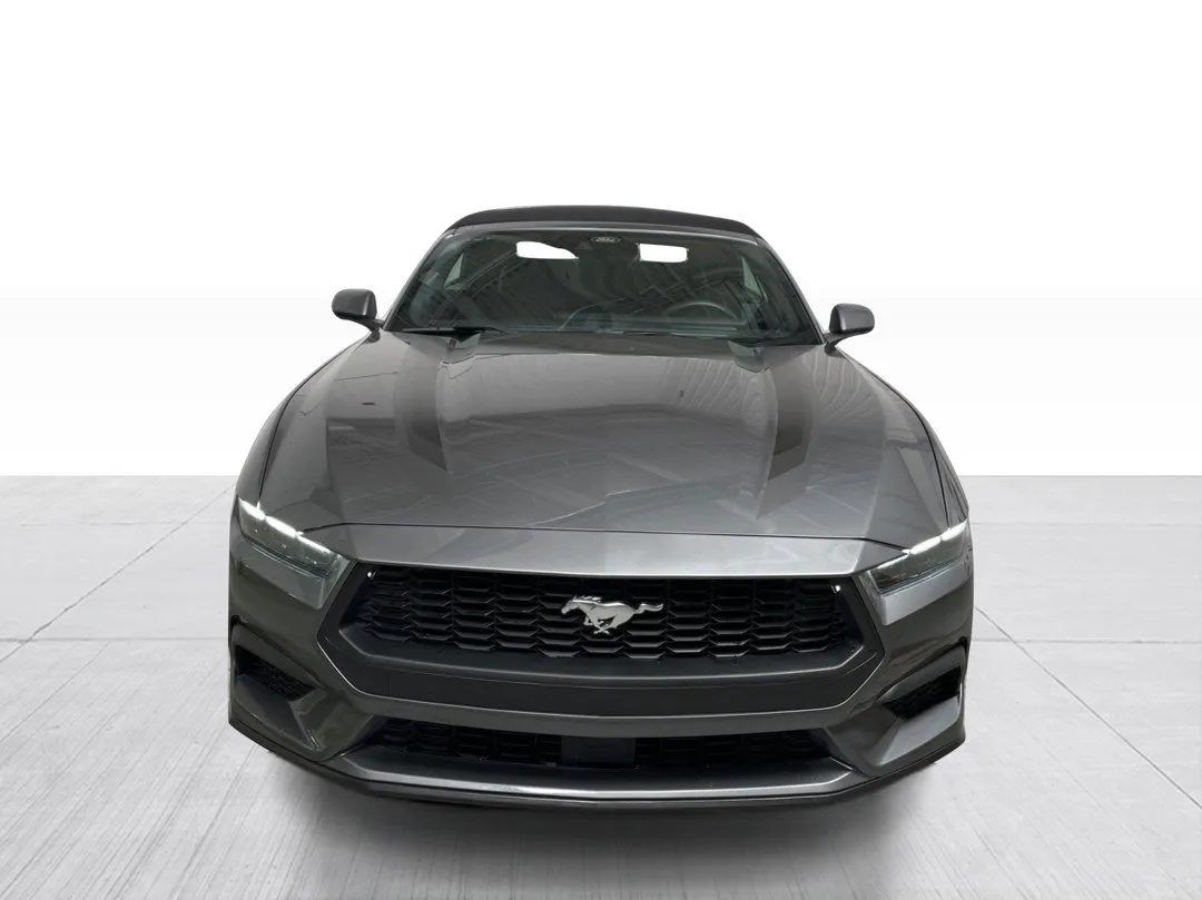 2025 Ford Mustang — photo 2