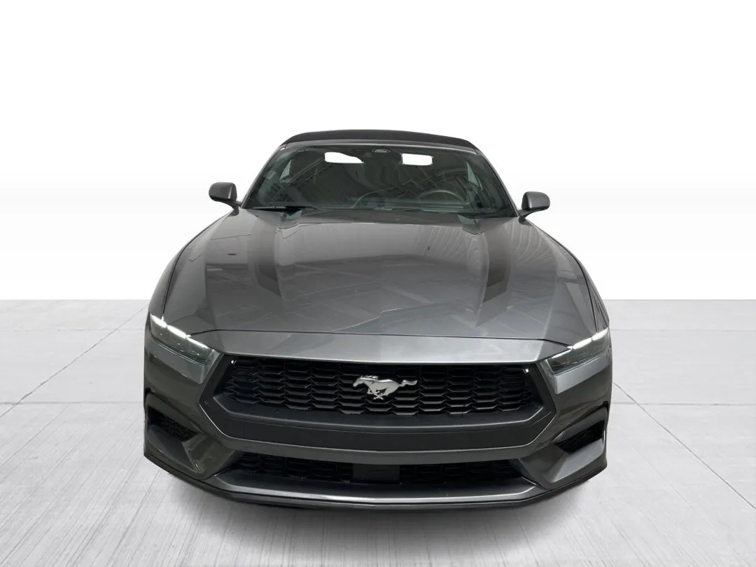 Ford Mustang 2025 à vendre - photo 2