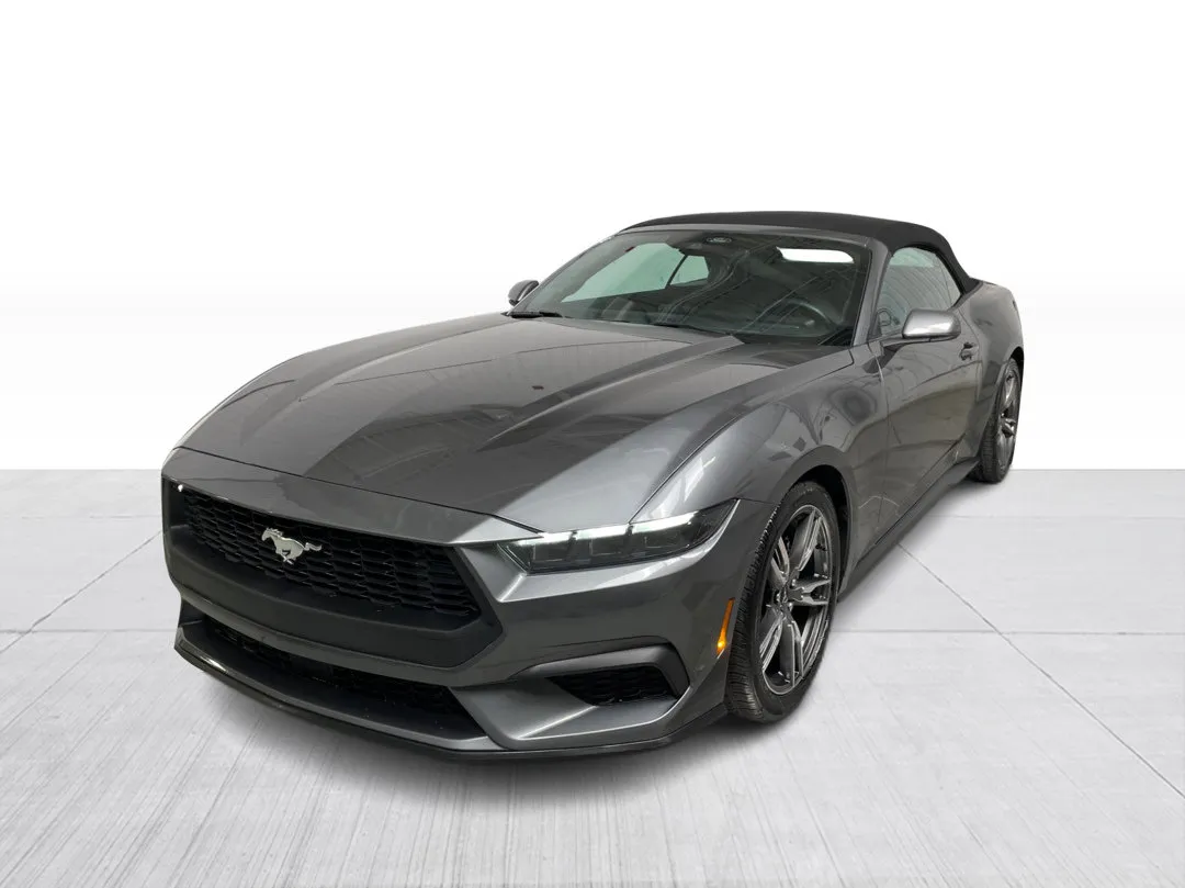 Ford Mustang 2025 à vendre - photo 3