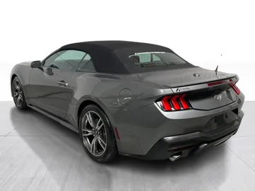 2025 Ford Mustang - image 6