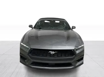 2025 Ford Mustang - image 2
