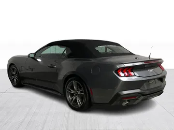 2025 Ford Mustang - image 11