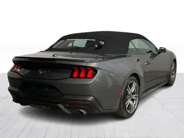 2025 Ford Mustang - image 14
