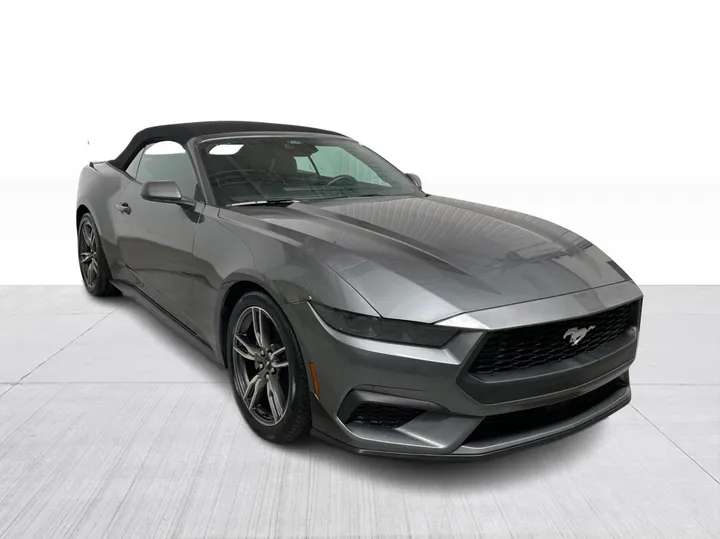 Ford Mustang 2025 à vendre - photo 1