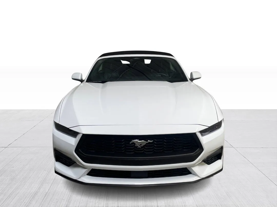 2025 Ford Mustang — photo 2