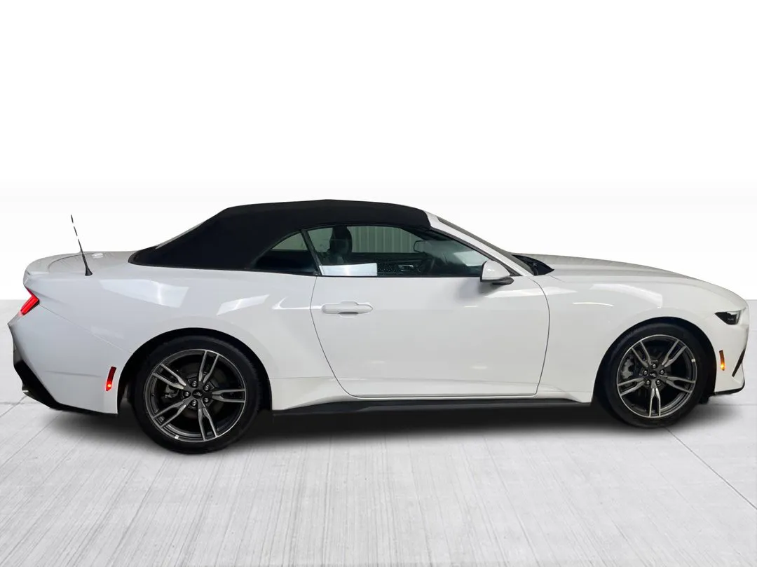 2025 Ford Mustang — photo 8