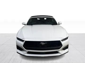 2025 Ford Mustang - image 2