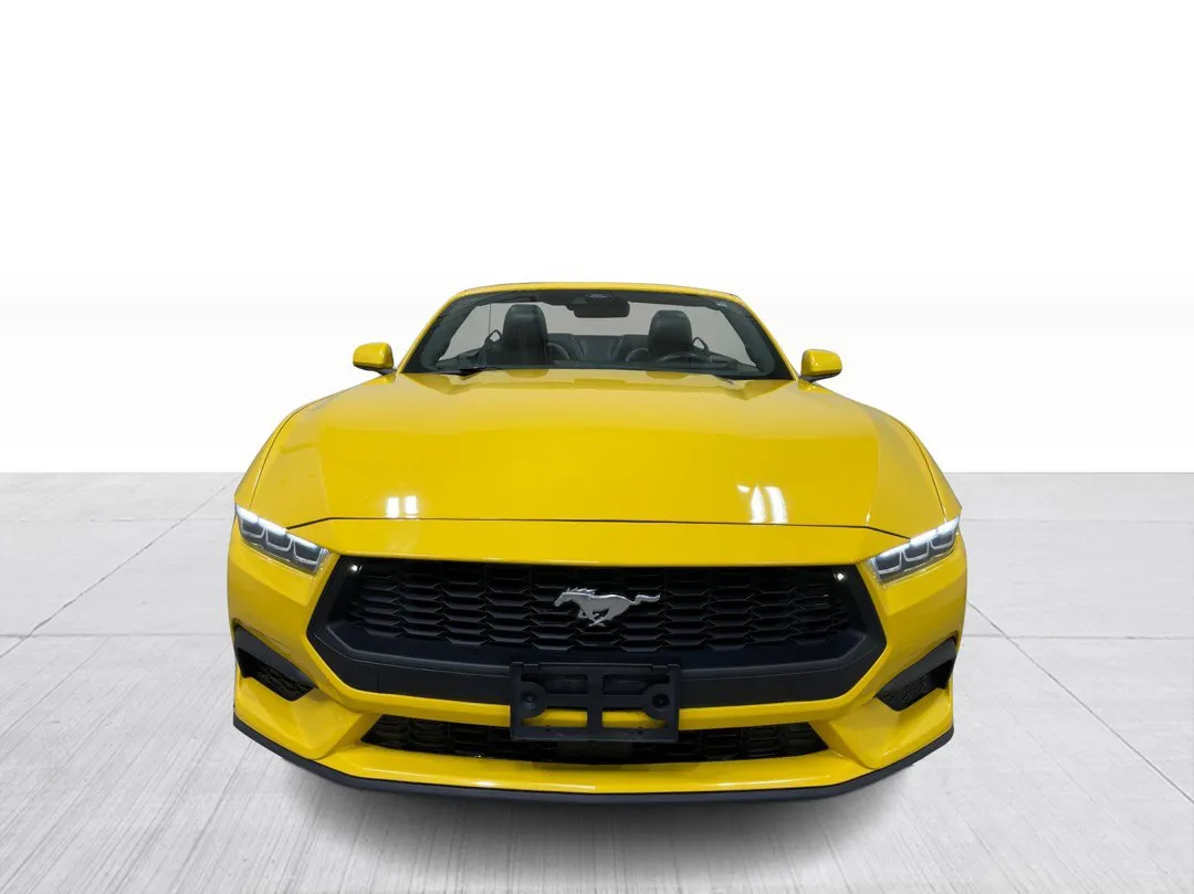 2024 Ford Mustang — photo 7