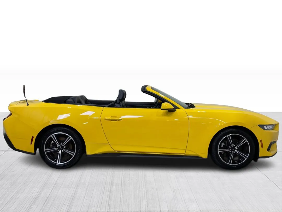 2024 Ford Mustang — photo 2