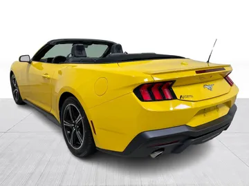 2024 Ford Mustang - image 11