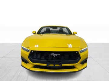 2024 Ford Mustang - image 8