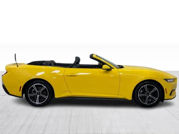 2024 Ford Mustang - image 2