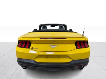 2024 Ford Mustang - image 12