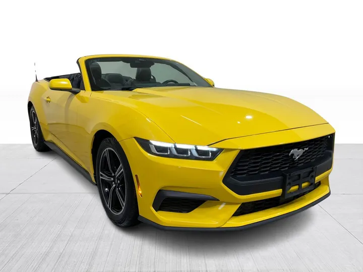 2024 Ford Mustang