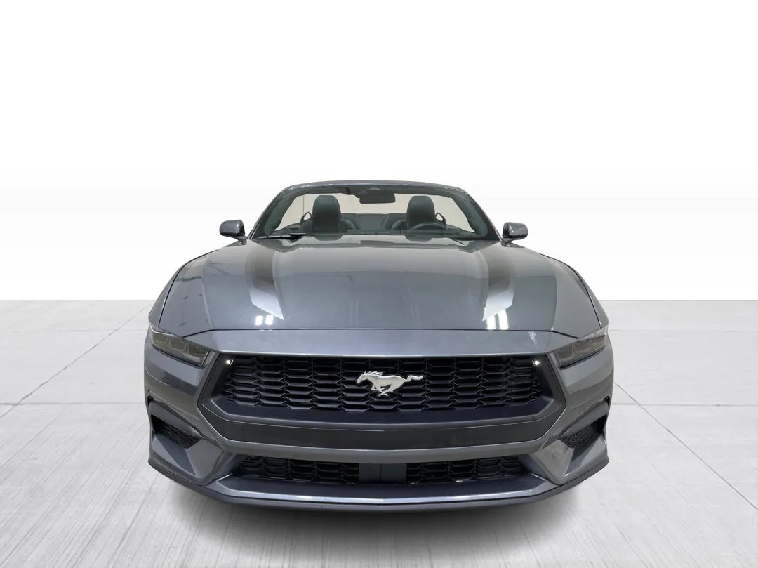 2025 Ford Mustang — photo 7