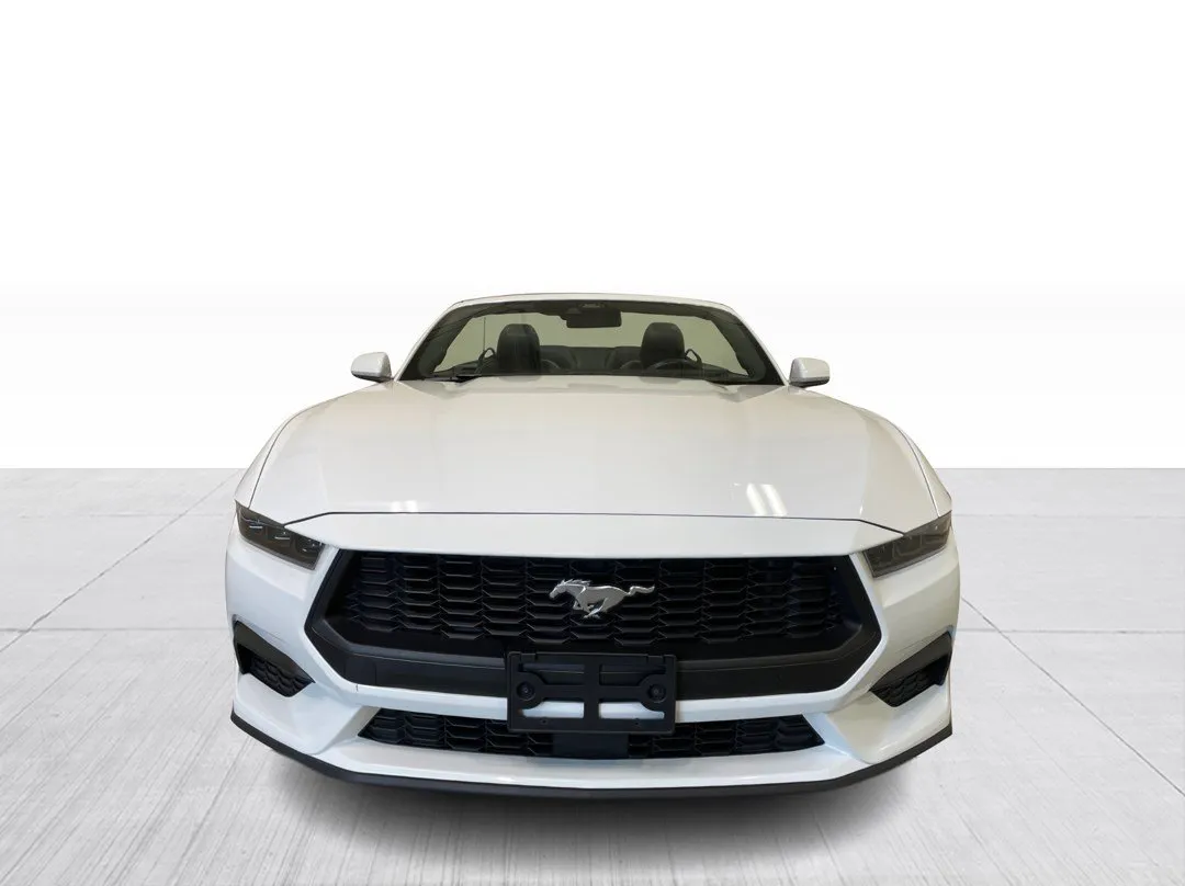 2025 Ford Mustang — photo 7