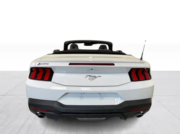 2025 Ford Mustang - image 12