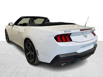2025 Ford Mustang - image 11
