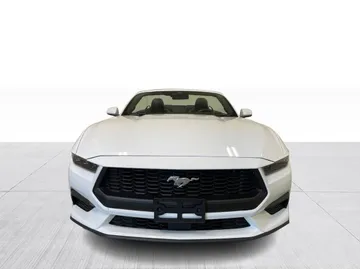 2025 Ford Mustang - image 8