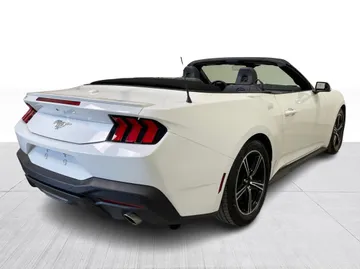 2025 Ford Mustang - image 14