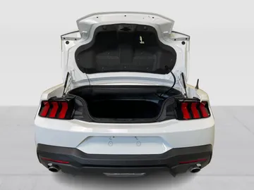 2025 Ford Mustang - image 13