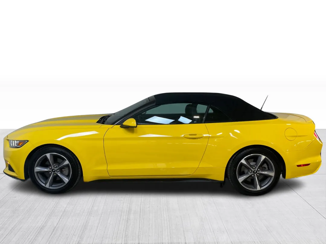 2017 Ford Mustang — photo 8