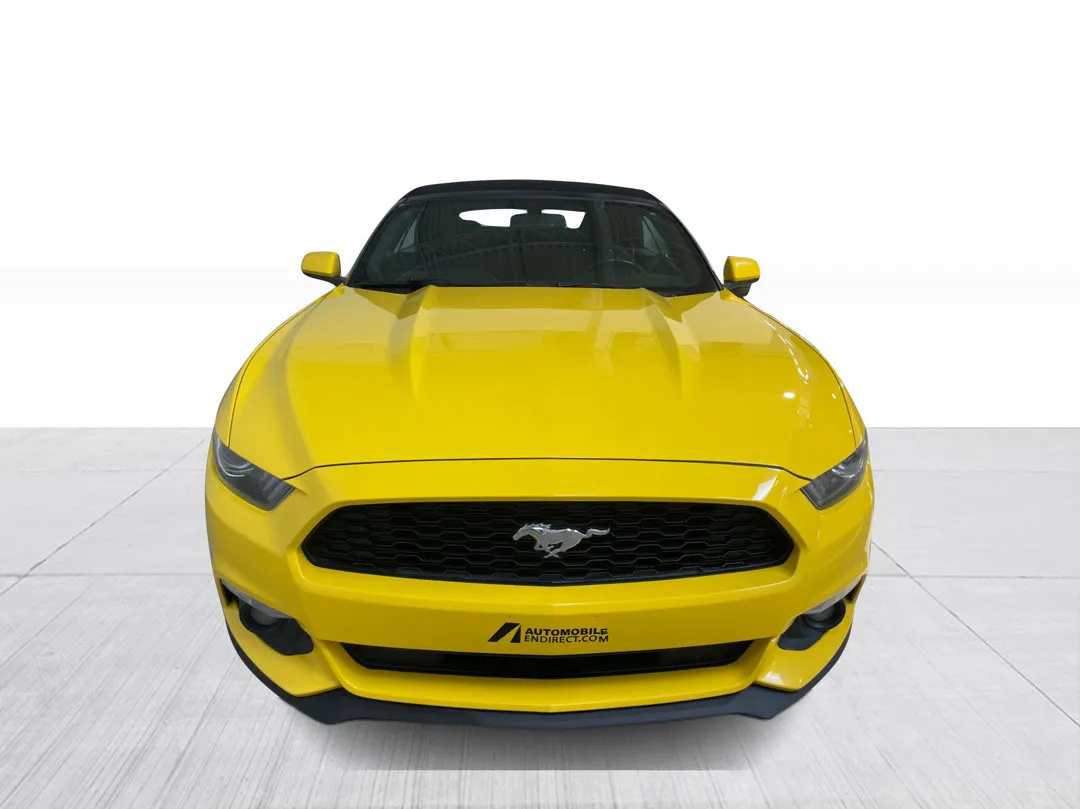 2017 Ford Mustang — photo 6