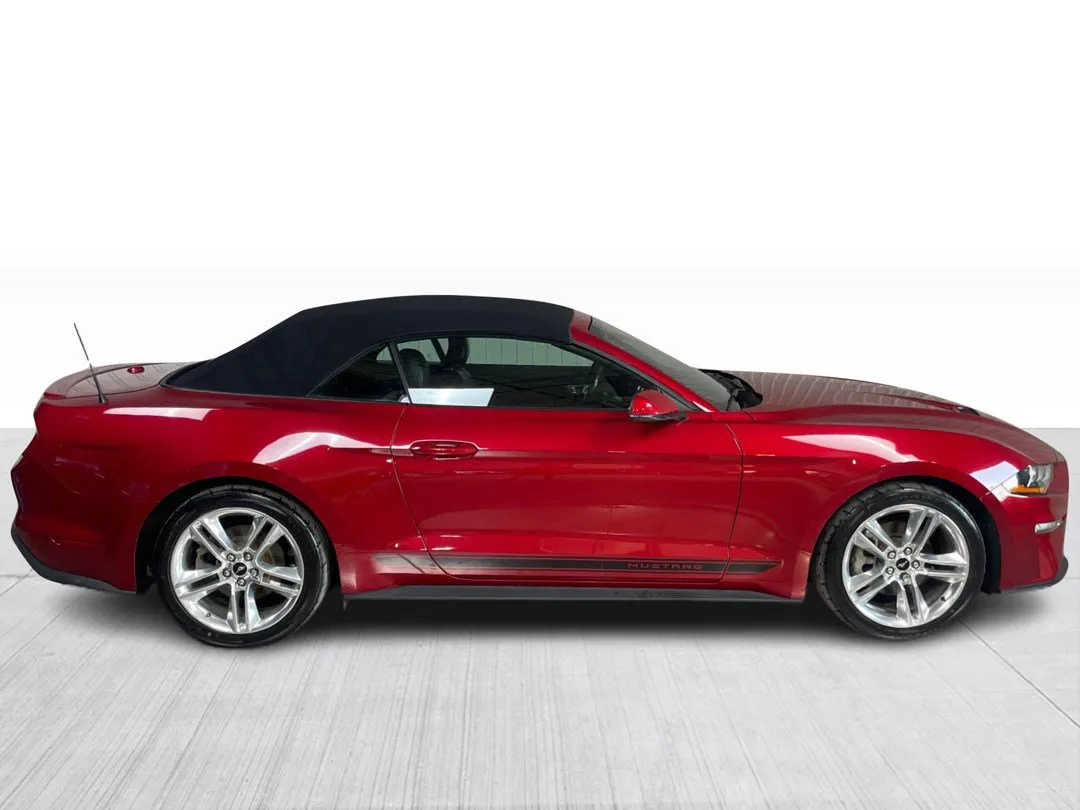 2021 Ford Mustang — photo 2