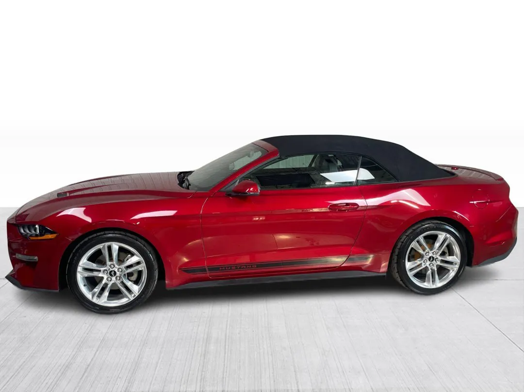 2021 Ford Mustang — photo 8
