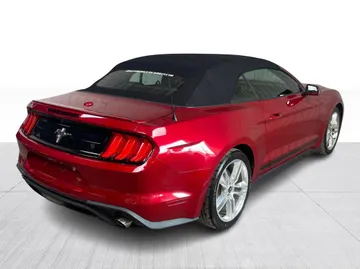 2021 Ford Mustang - image 13