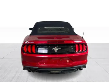 2021 Ford Mustang - image 11