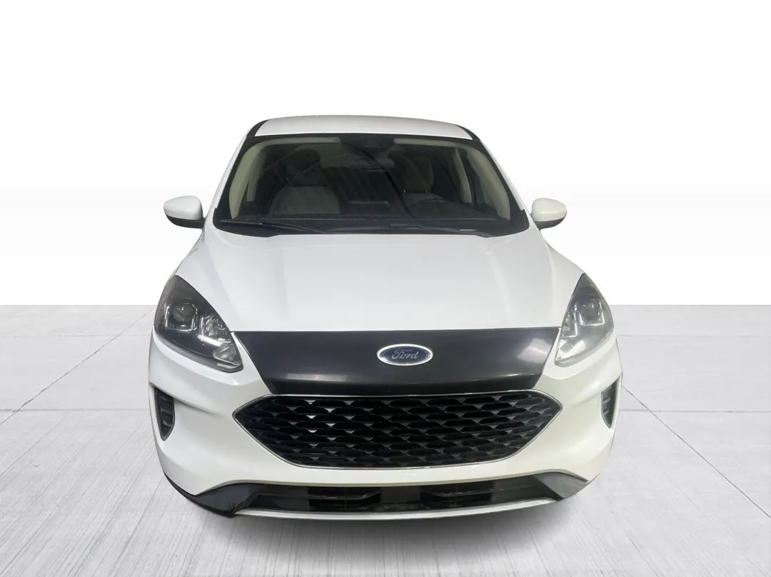 Ford Escape SE AWD 2020, photo 6