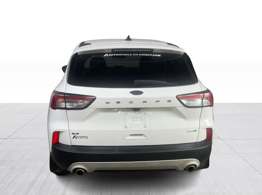 Ford Escape SE AWD 2020, photo 10