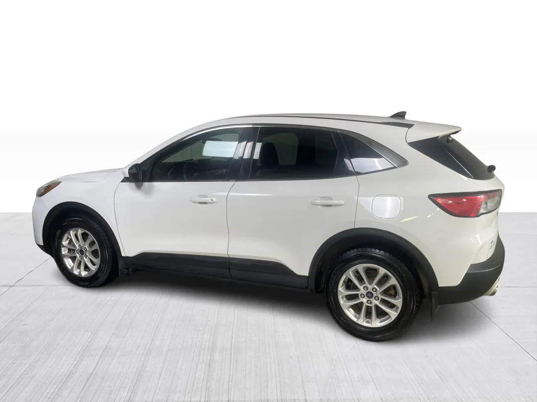 Ford Escape SE AWD 2020, photo 9