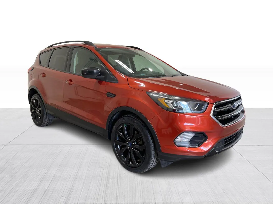 2019 Ford Escape