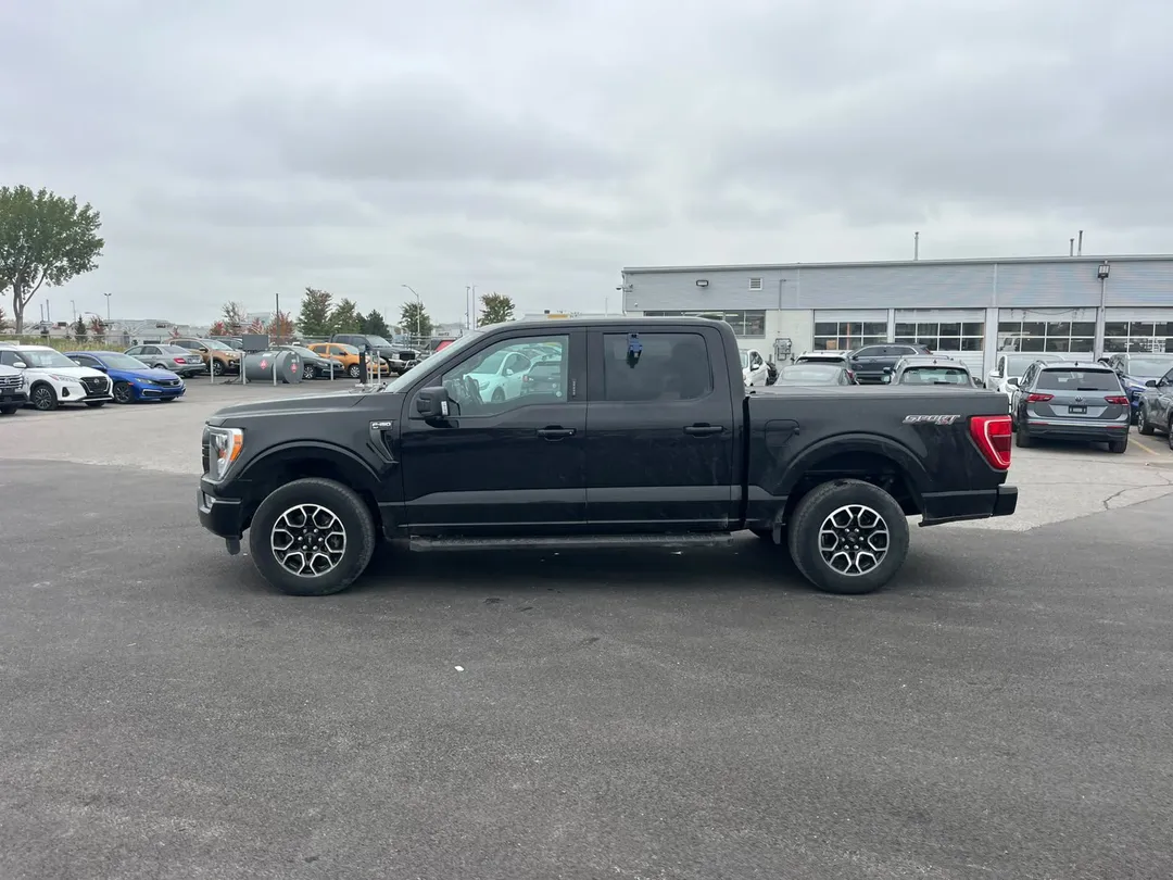 2023 Ford F-150 for sale - photo 4